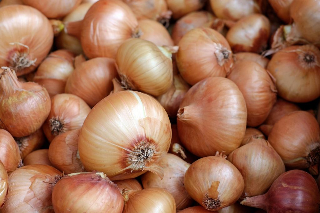 Mol Fresh Food faciliteit met hygiënestandaarden in de uiengroothandel en moderne verwerkingsapparatuur